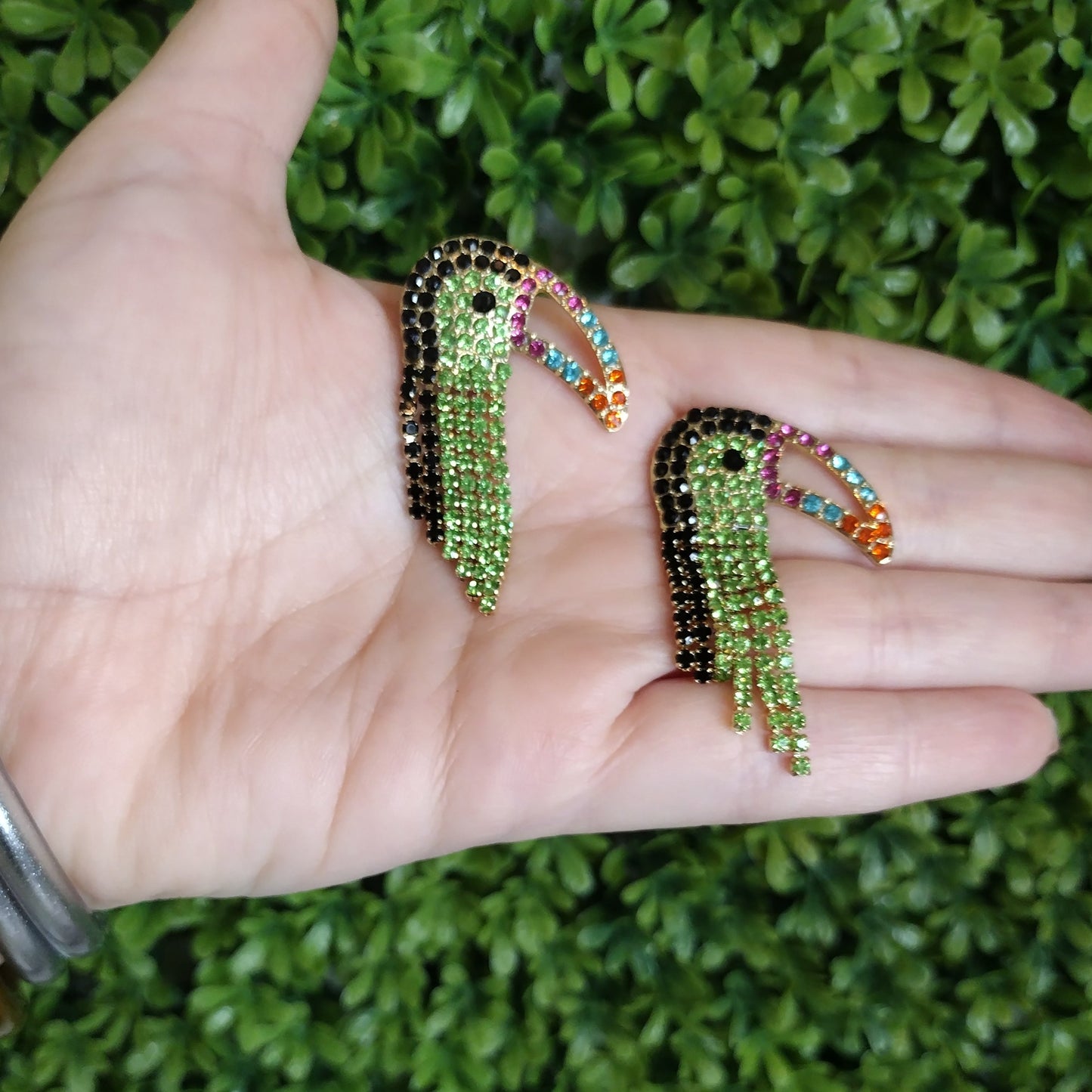 Aretes De Tucan